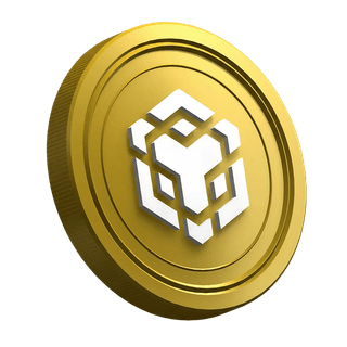 Binance BNB cryptocurrency coin shown on the guide page for new traders